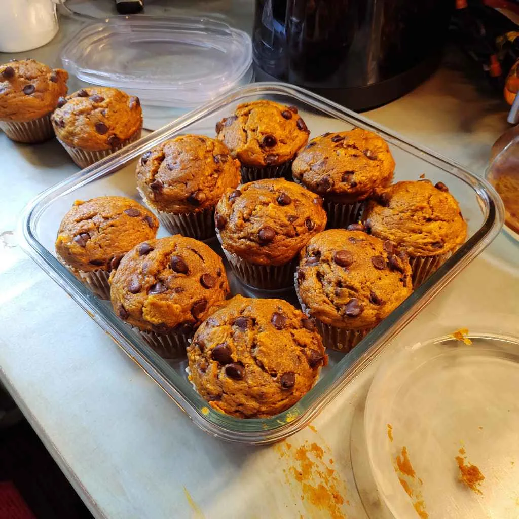 High protein pumpkin muffins stored in an airtight container for the fridge and freezer
