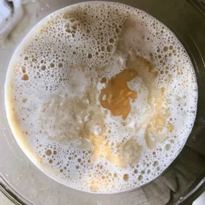 Foamy bloomed yeast and honey in water, step one of the high protein english muffin recipe