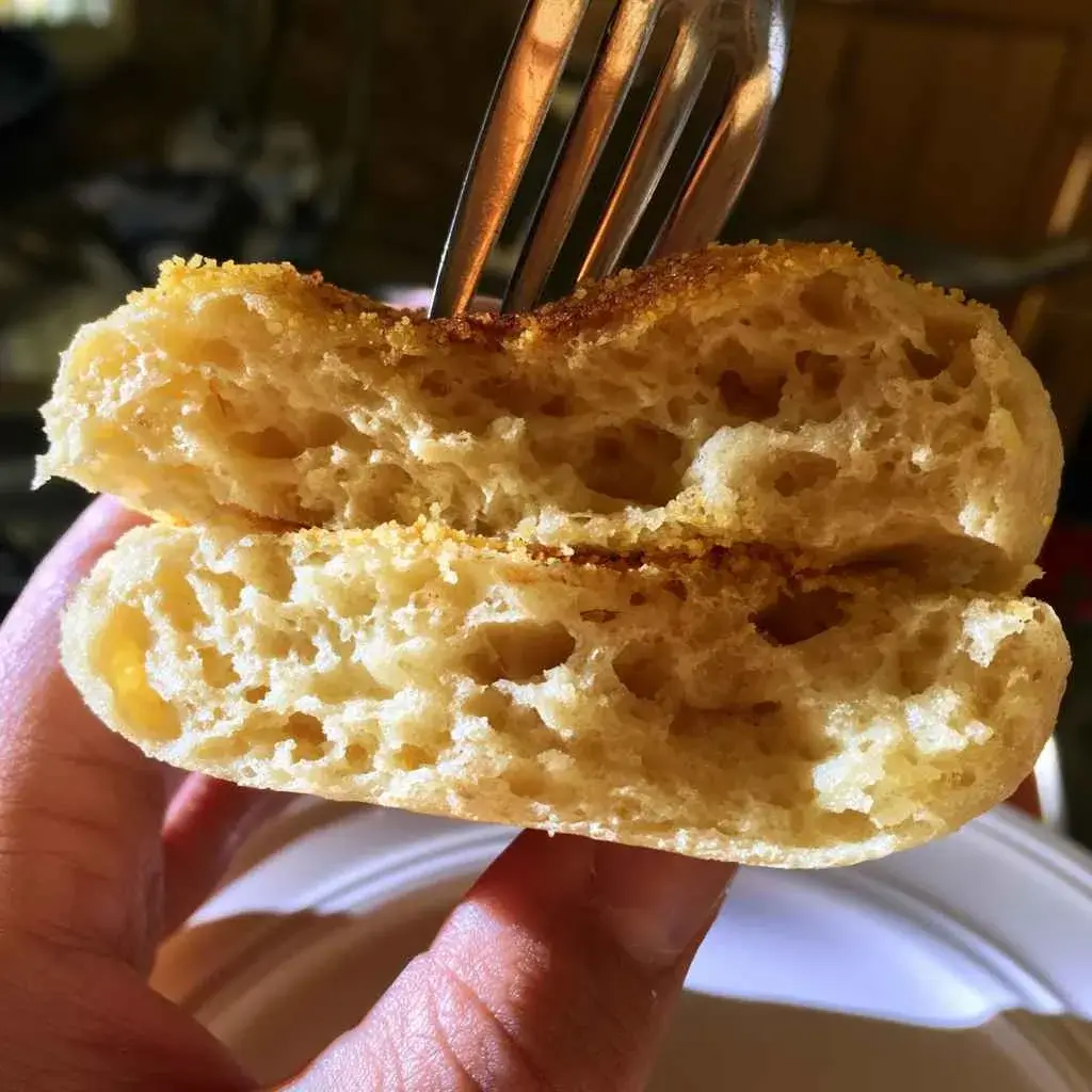 High protein english muffin fork-split by hand to show the airy nooks and crannies inside
